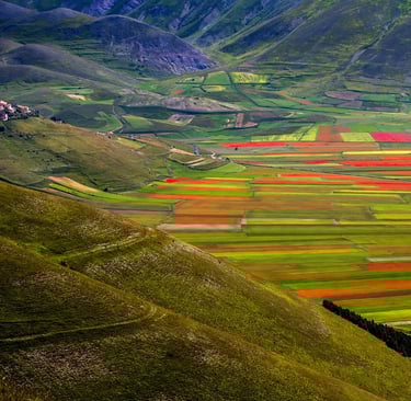 Castelluccio di Norcia: Umbria’s High-Altitude Canvas of Color