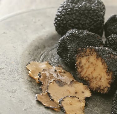 a plate Italy’s Truffle 
