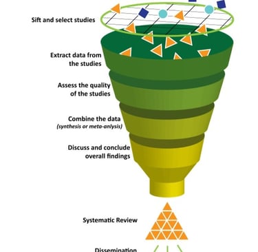 Systematic Review Steps