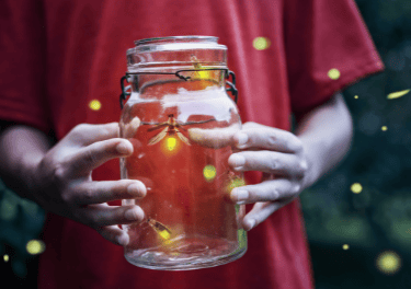 Fireflies in mason jar