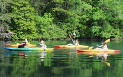 Kayak Little River