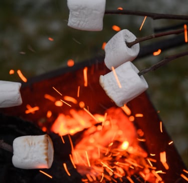 Campfire making S'mores