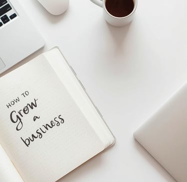 how to grow a brand online, how to attract clients organically, how to build a profitable business,