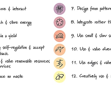 Permaculture principles in india