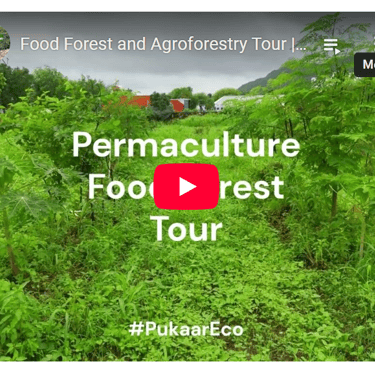 Pukaar Eco services Permaculture design
