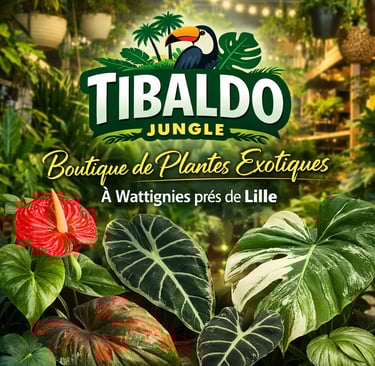 QUE FAIRE DANS LE NORD le 24 janvier 2026 SUR LILLE ?