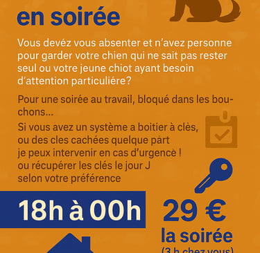 petsitter soirée petsitter imprévu tibaldopetsitter