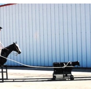 Calf Roping Game