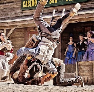 Book a Cowboy Performer
