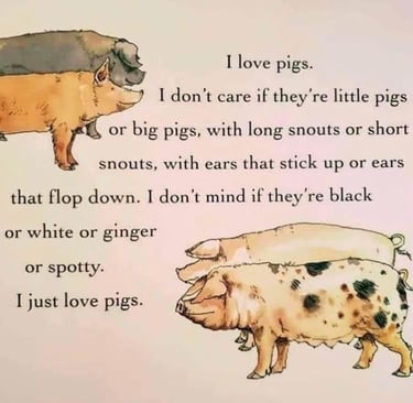 Illustration of various farm pigs with a poem about loving all types of pig breeds.