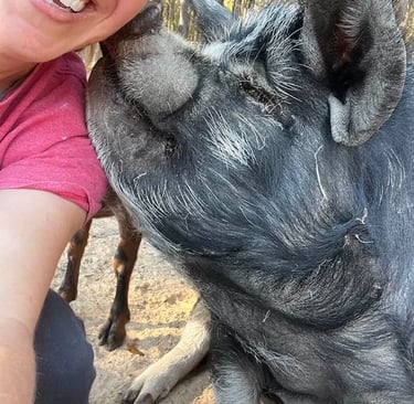 A smiling woman takes a close-up selfie while cuddling a large black rescue pig at a farm sanctuary.