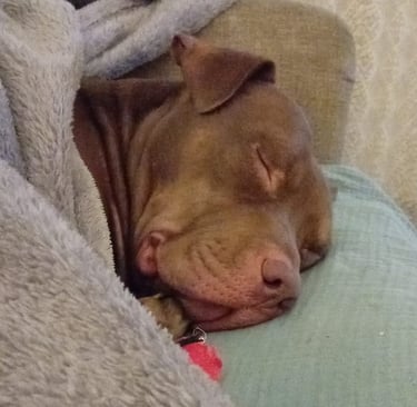 Dean sleeping