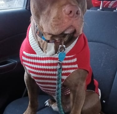Dean Christmas