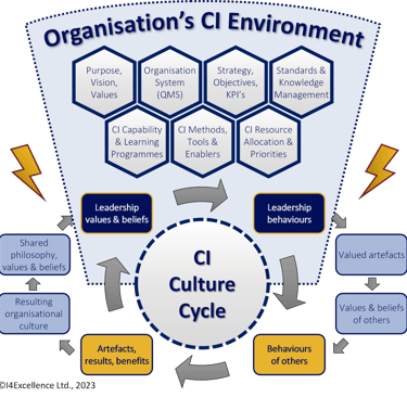 A diagrammatic meta-model of an organisation's CI Environment adapted from reference.