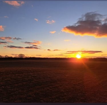 BEAUTIFUL SUNSET AFTER A PROPERTY CLEAN OUT