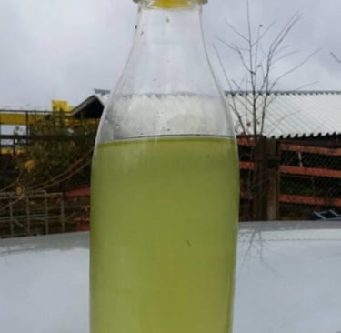 Nuotekų mėginys po 18 savaičių Biocleaner veikimo.