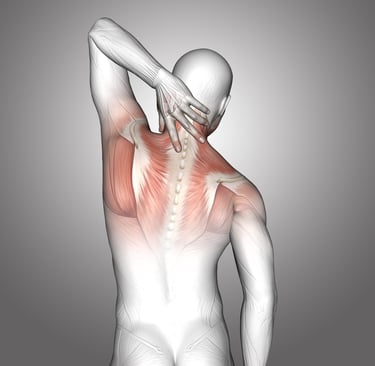 douleur omoplate