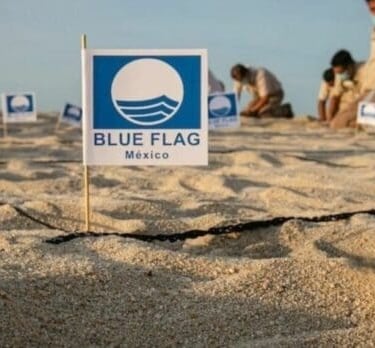 playas blue flag cancun quintana roo