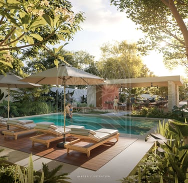 Guía paso a paso para comprar terreno en Playa del Carmen