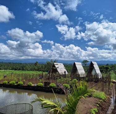 A photographer photographed the cottage in the garden. with a cloudy blue sky as a background