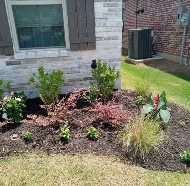 Flowerbed cleanup in Texoma