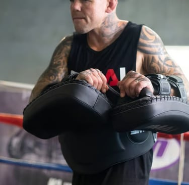 thai pads, mma thai pads, boxing thai pads, training thai pads
