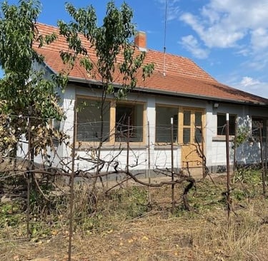 Einfamilienhaus in Tiszaszentimre