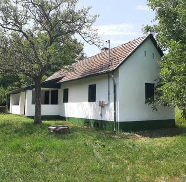 Ferienhaus in Ungarn kaufen