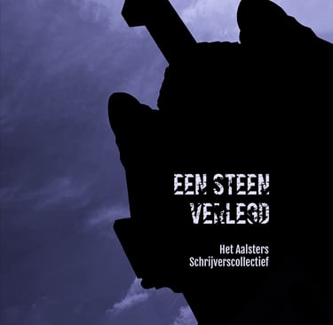cover 'Een steen verlegd'
