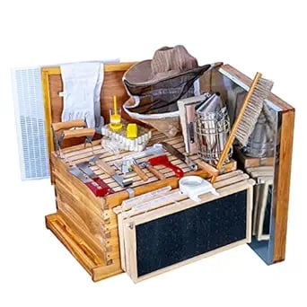 bee hive set for beekeepers
