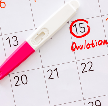 Ovulation test placed on calendar with cycle day marked in red