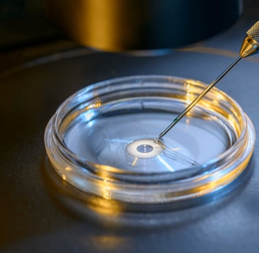 IVF laboratory scene with pipette inserting sample into petri dish