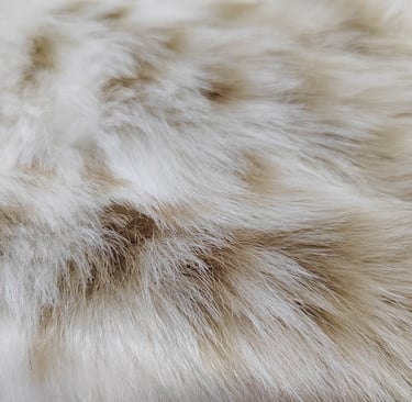 Faux Fur Fabrics