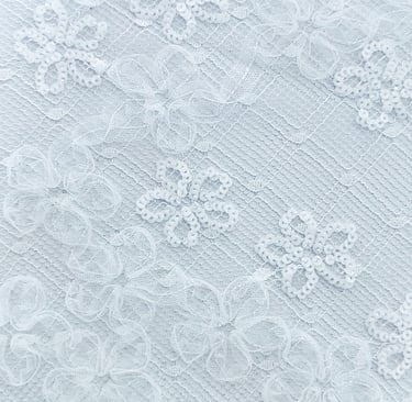a light blue lace  made by Embroidered and Beaded Lace Fabrics