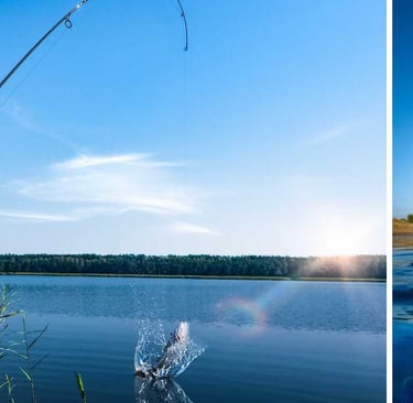 A man Fishing in Melbourne Rivers