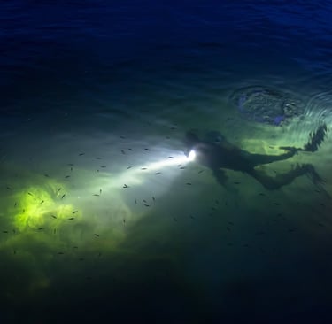 Night diver image