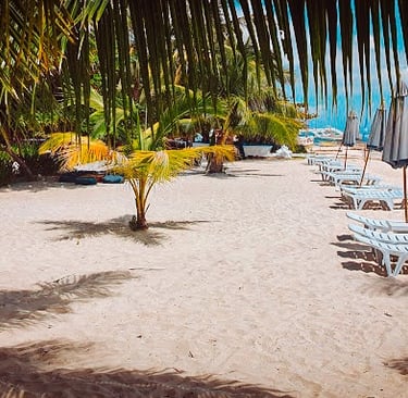 Evolution resort beach