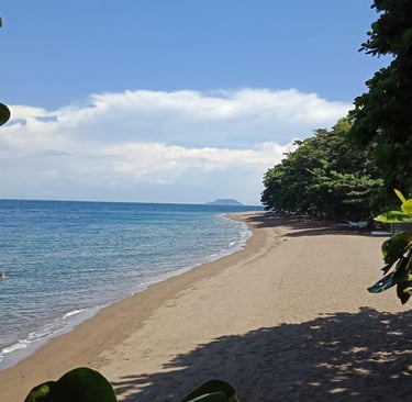 Playa de Dauin