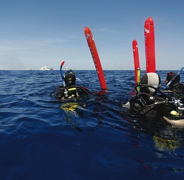 Imagen curso padi divemaster