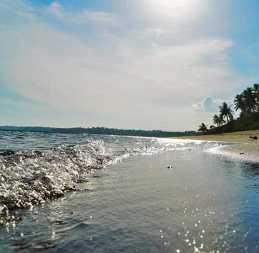 Playa en Zamboanguita tour