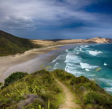 New Zealand Coastline