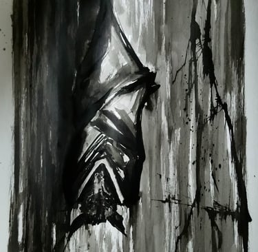 dessin chauve souris