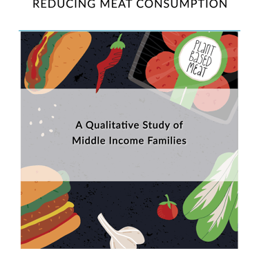 an image of the report Reducing Meat Consumption by John Habershon PhD