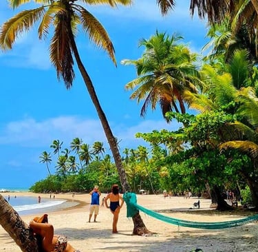 Praia de Coqueirinho Conde - PB, 58322-000, -7.329597962850552, -34.795115159859584