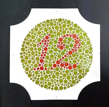 colour vision book plate no 12