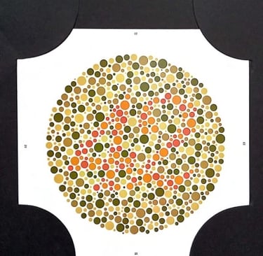 colour vision book plate no 42