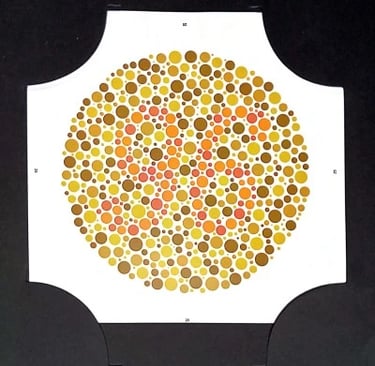 colour vision book plate no 96