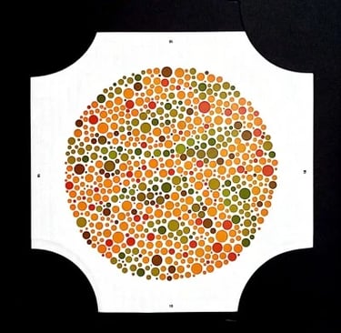 colour vision book hidden digit plate 5