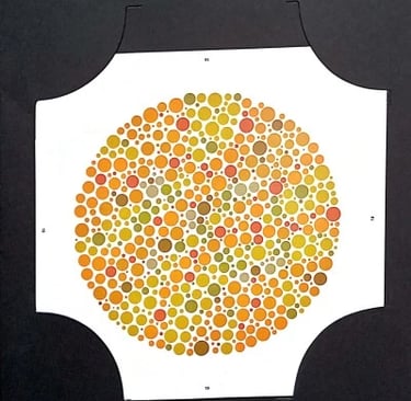 colour vision book hidden digit plate 2