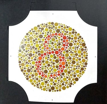 colour vision book plate no 8